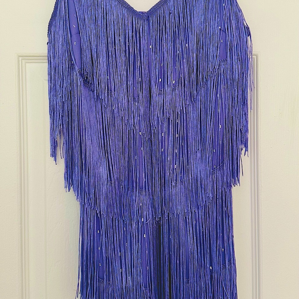 Purple Tassle Glitter Dress Perfect For Taylor Swift Show, Extravagant Night Out